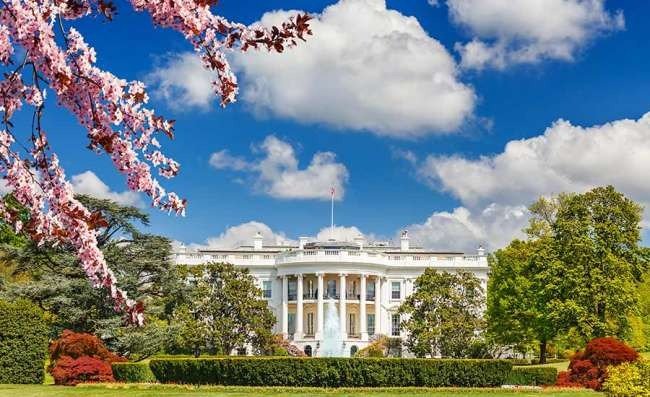 Digital Marketing Agency Washington Driving Results in the Nation’s Capital