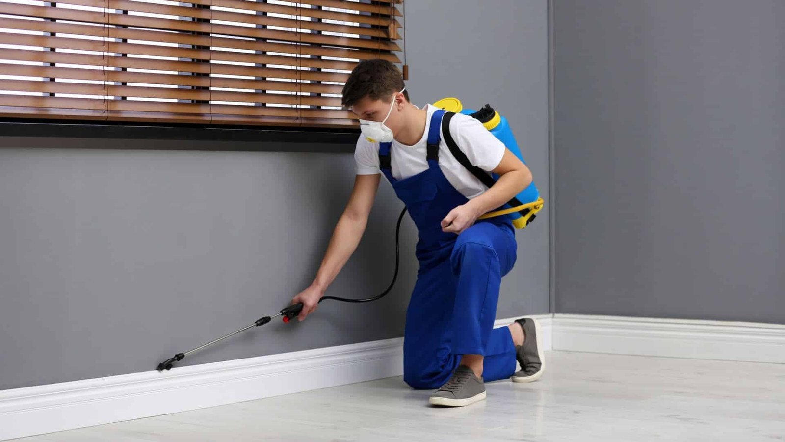 Pest Control Service Provider Langley Reliable Solutions for Effective Pest Management